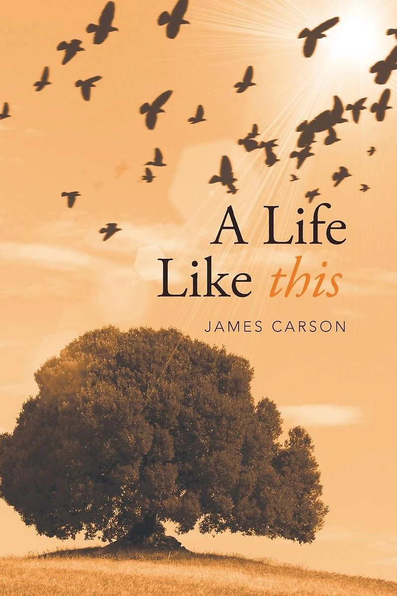 A Life Like This