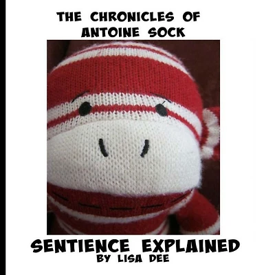 The Chronicles of Antoine Sock: Sentience Explained
