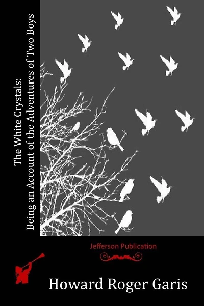 The White Crystals: Being an Account of the Adventures of Two Boys