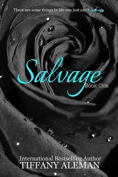 Salvage Book One