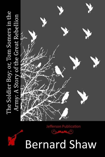 The Soldier Boy; or, Tom Somers in the Army: A Story of the Great Rebellion