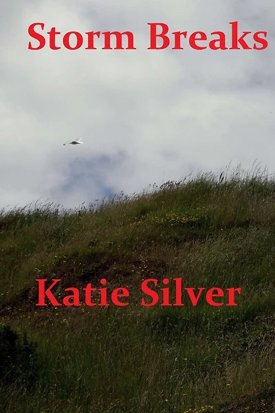 Storm Breaks: Storms Trilogy Book 2
