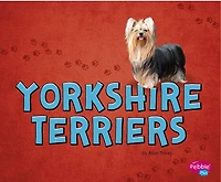 Yorkshire Terriers