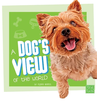 A Dog's View of the World