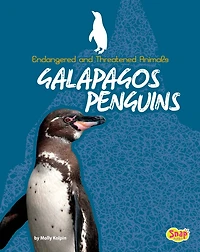 Galapagos Penguins