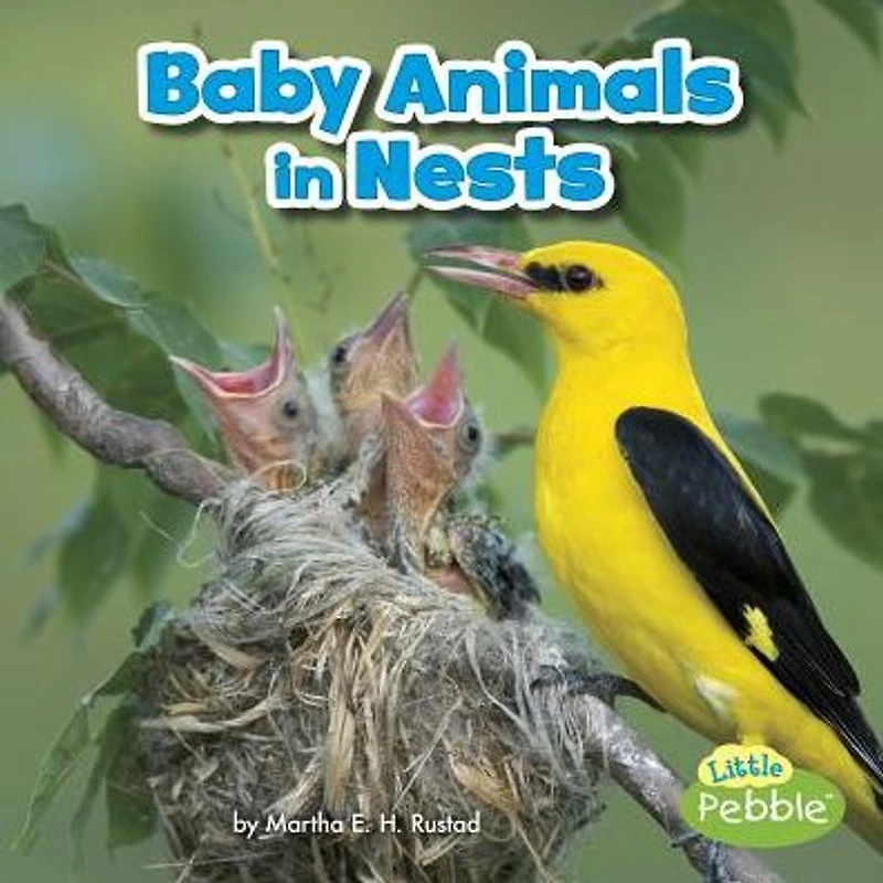 Baby Animals Nests