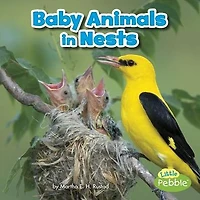 Baby Animals Nests