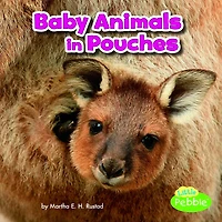 Baby Animals Pouches