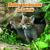 Baby Animals Dens