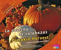 La cosecha de calabazas/Pumpkin Harvest