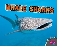 Whale Sharks