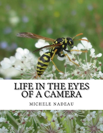 Life in the eyes of a camera: no one is perfect