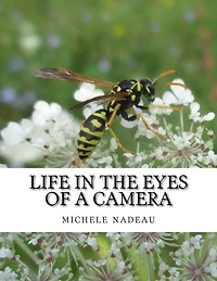 Life in the eyes of a camera: no one is perfect