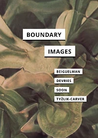 Boundary Images