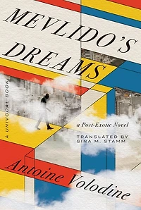 Mevlido's Dreams: A Post-Exotic Novel