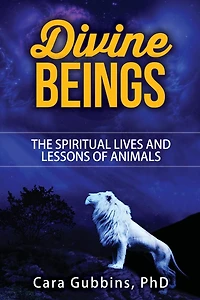 Divine Beings: The Spiritual LIves and Lessons of Animals