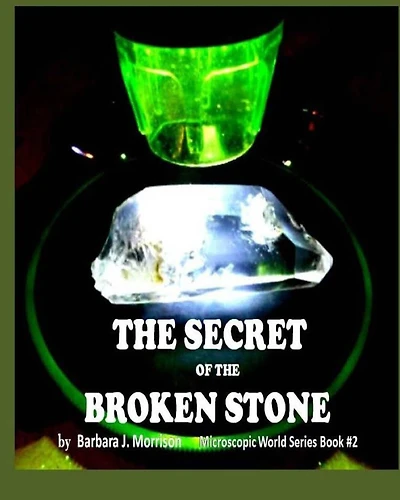 The Secret of the Broken Stone: The Microscopic World Series Book 2