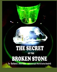 The Secret of the Broken Stone: The Microscopic World Series Book 2