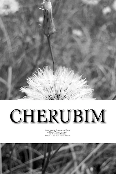 Cherubim: How Hope Got Me to Survive