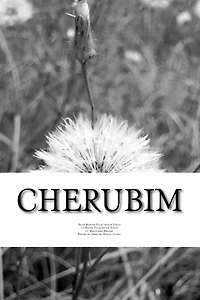 Cherubim: How Hope Got Me to Survive