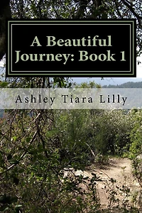 A Beautiful Journey: Book 1