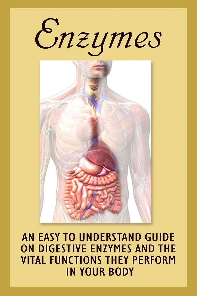 Enzymes: An Easy To Understand Guide On Digestive Enzymes And The Vital Functions They Perform In Your Body