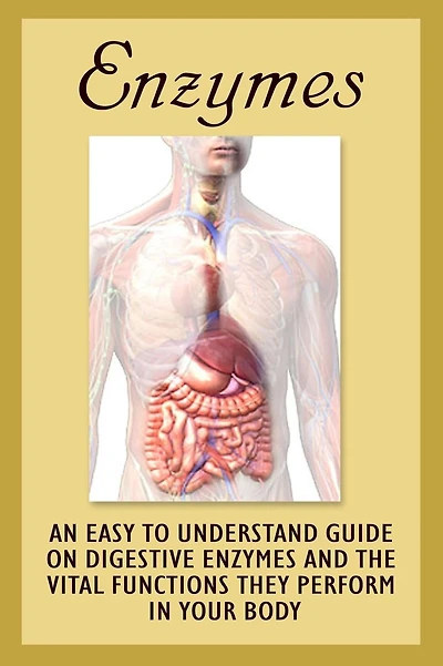 Enzymes: An Easy To Understand Guide On Digestive Enzymes And The Vital Functions They Perform In Your Body