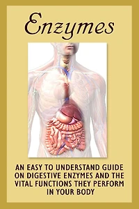 Enzymes: An Easy To Understand Guide On Digestive Enzymes And The Vital Functions They Perform In Your Body