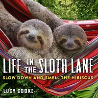 Life the Sloth Lane: Slow Down and Smell Hibiscus