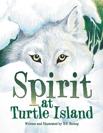 Spirit at Turtle Island