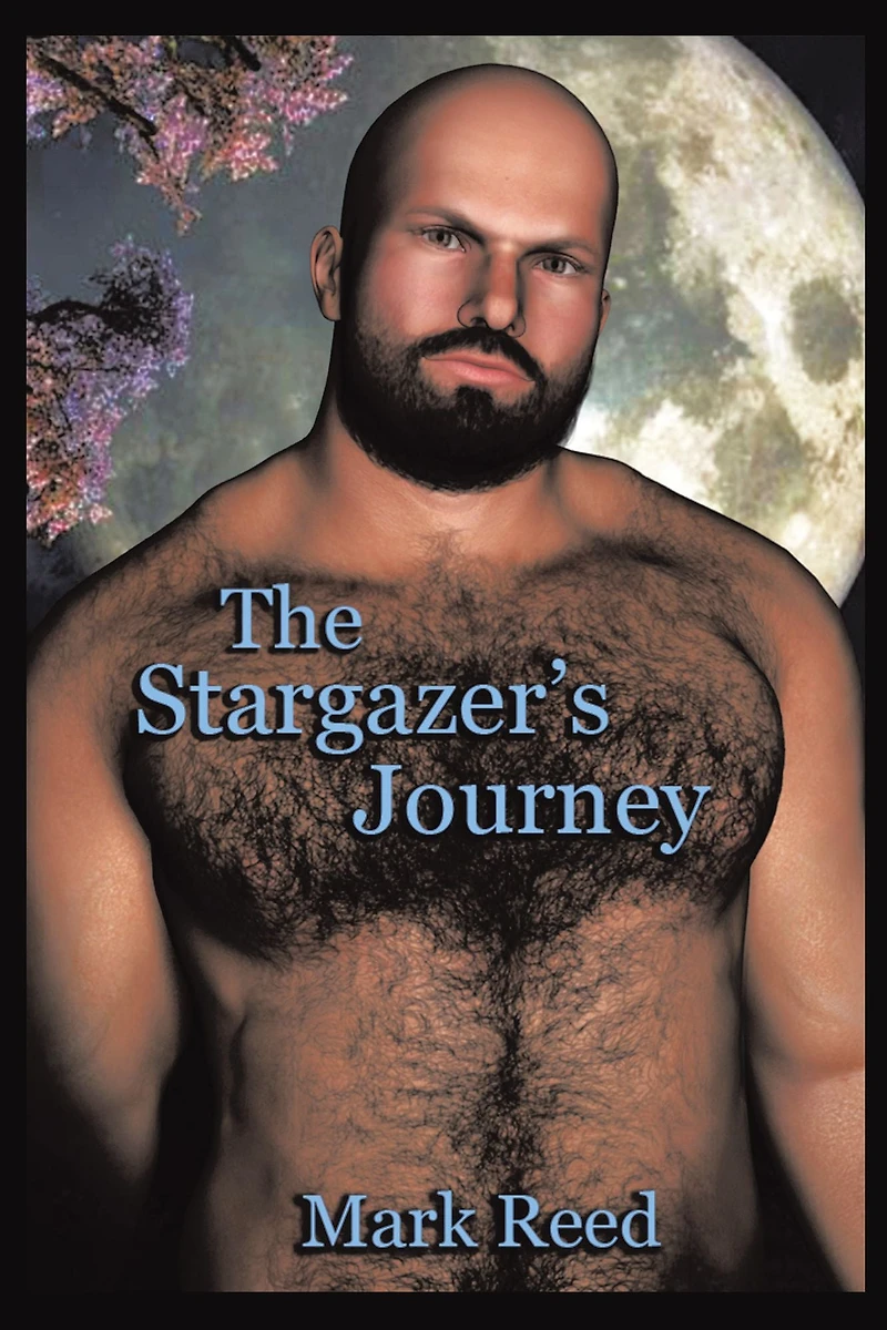 The Stargazer'S Journey