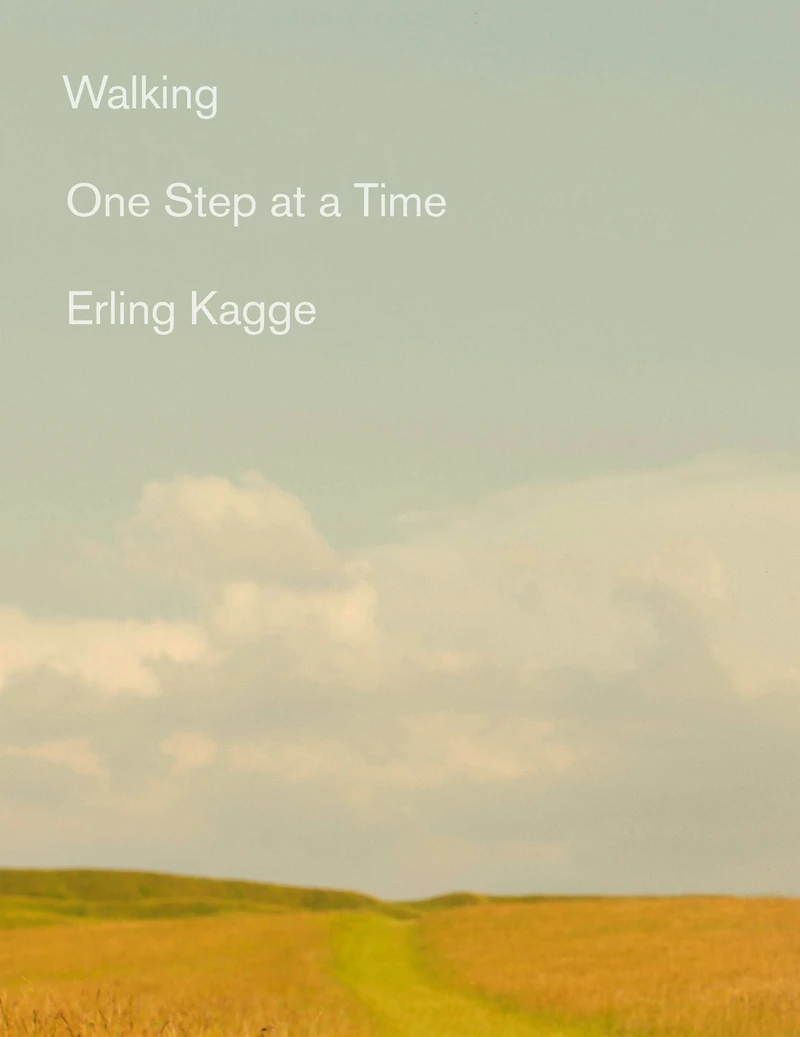 Walking: One Step At a Time