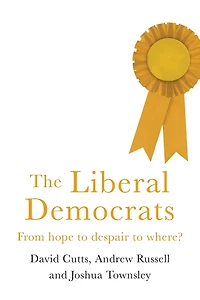 The Liberal Democrats: From hope to despair where?