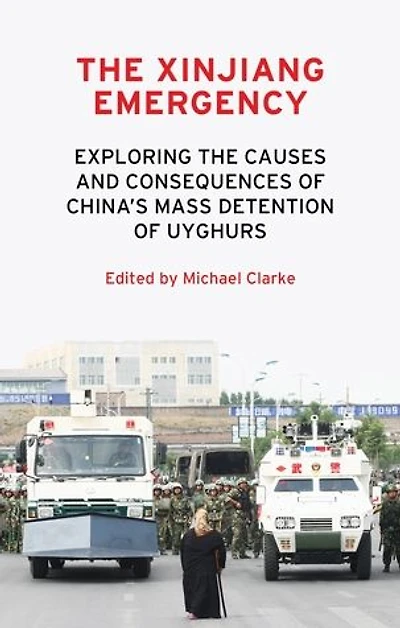 the Xinjiang emergency: Exploring causes and consequences of China's mass detention Uyghurs