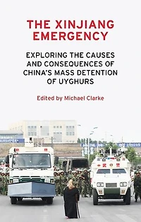 the Xinjiang emergency: Exploring causes and consequences of China's mass detention Uyghurs