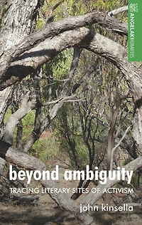 Beyond ambiguity: Tracing literary sites of activism