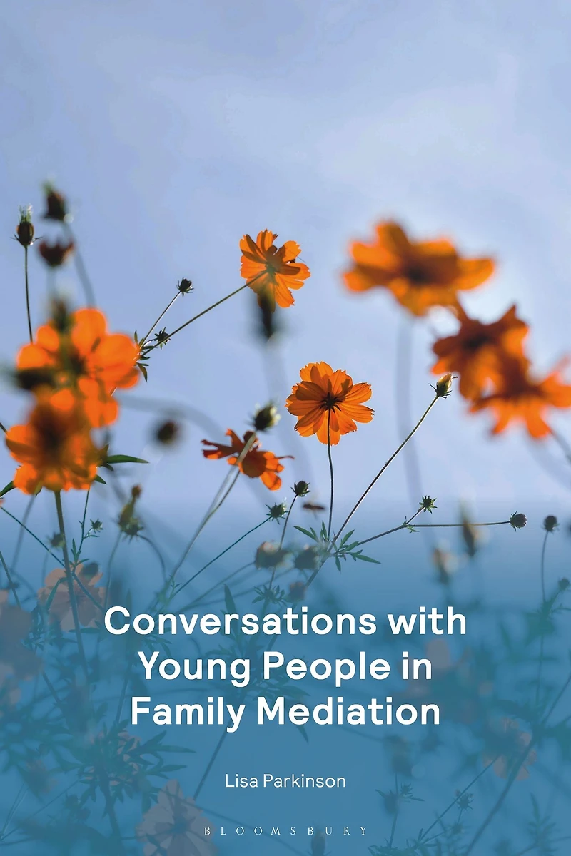 Conversations with Young People Family Mediation