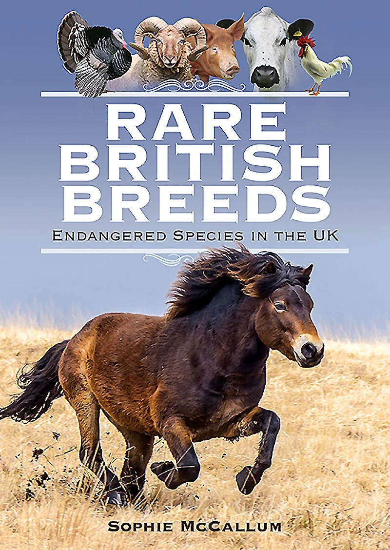 Rare British Breeds: Endangered Species the UK