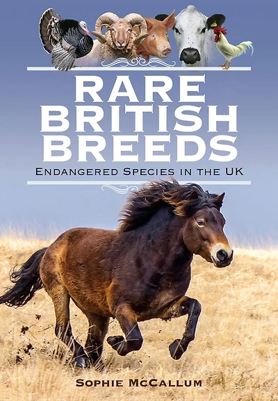 Rare British Breeds: Endangered Species the UK