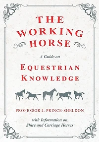 The Working Horse - A Guide on Equestrian Knowledge with Information Shire and Carriage Horses