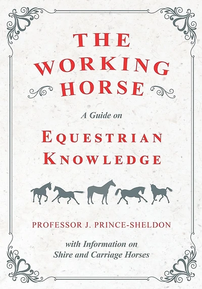 The Working Horse - A Guide on Equestrian Knowledge with Information Shire and Carriage Horses
