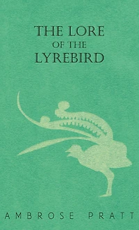 the Lore of Lyrebird