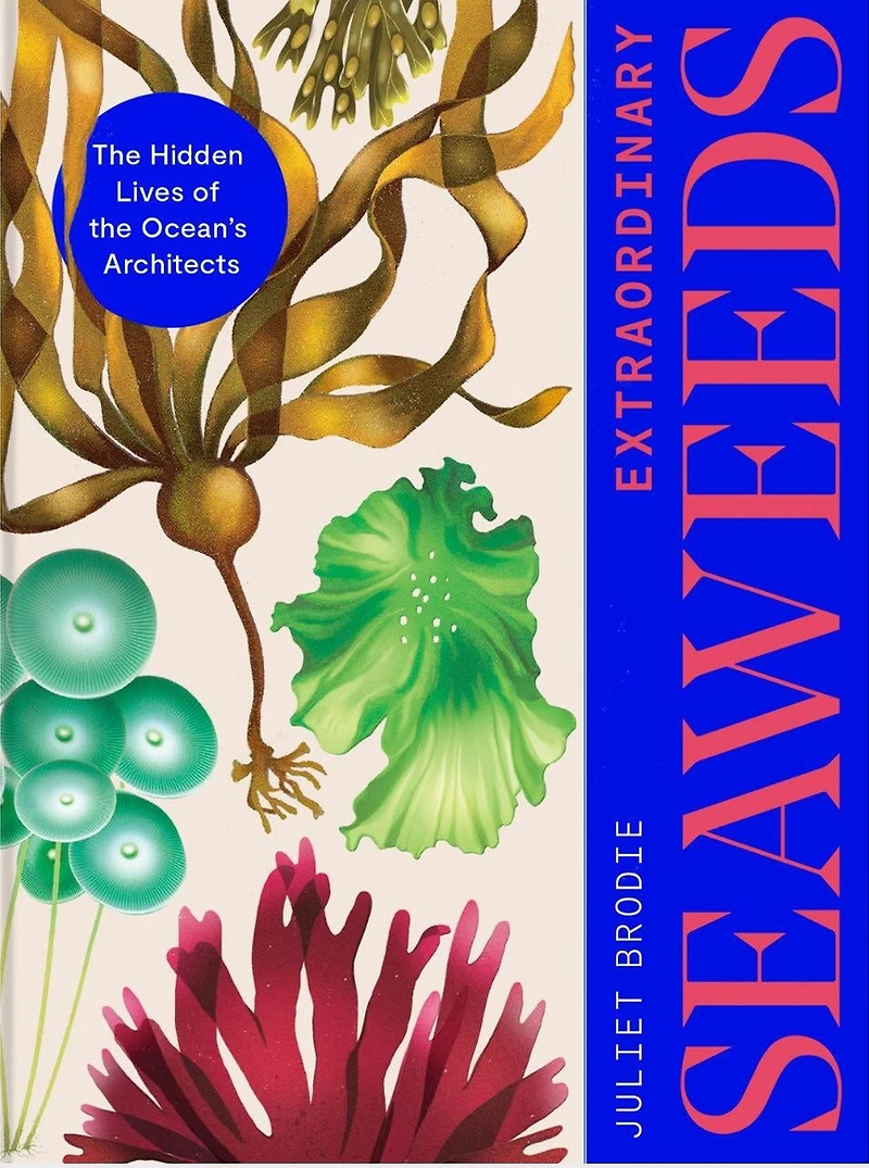 Extraordinary Seaweeds: the hidden lives of ocean's architects