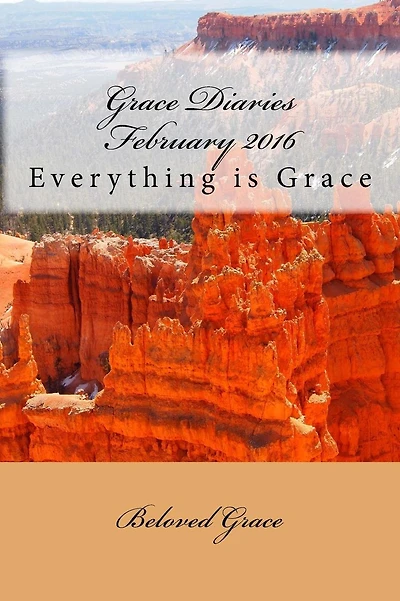 Grace Diaries February 2016: Everything is Grace