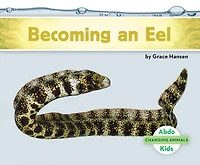 Becoming an Eel