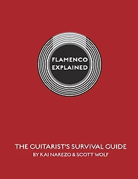 Flamenco Explained