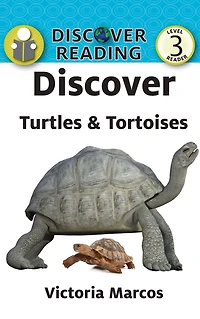 Discover Turtles & Tortoises