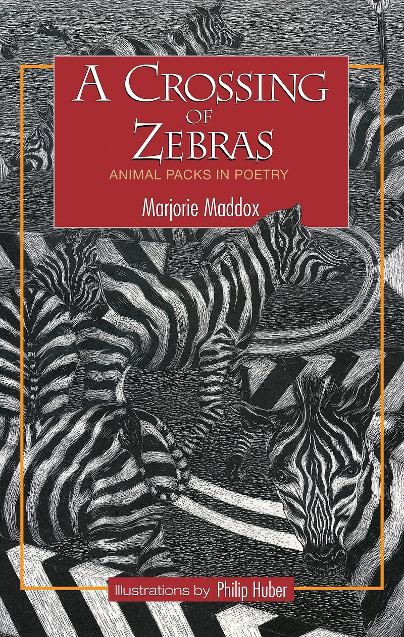 A Crossing of Zebras