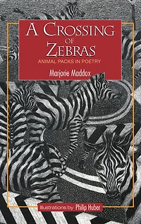 A Crossing of Zebras