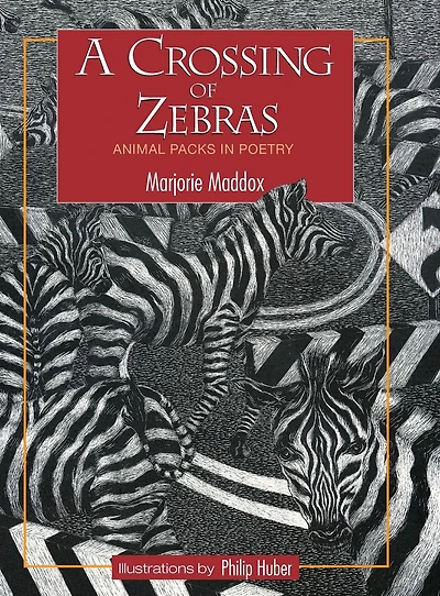 A Crossing of Zebras